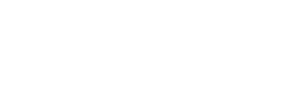 Fundación Horizonte Ciudadano